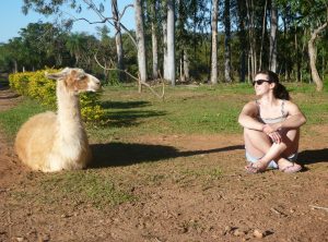 Chillin' with a llama Bonito Brazil