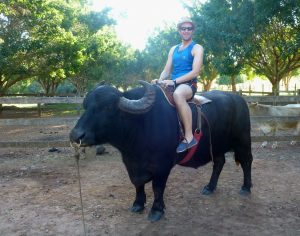 Yep, that's a real live bull Bonito Brazil