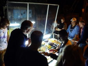 Dessert street stall!!!!!!! Ilya Grande Brazil