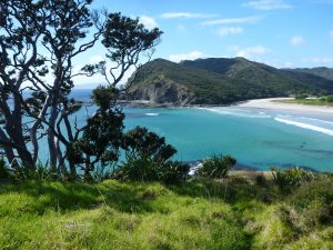 A deserted bay at the northern peak of NZ