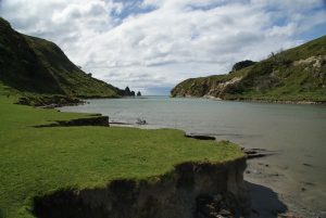The Cook Cove walk