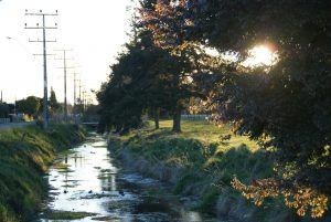 Pretty lanes to cycle home