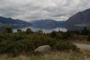 Typical west coast scenery