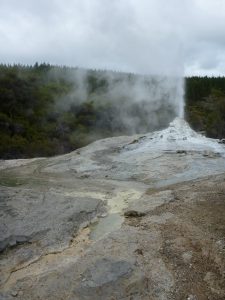 The Lady Knox geyser