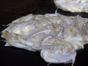 Whitebait on the grill