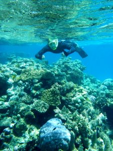 Olly takes a closer look