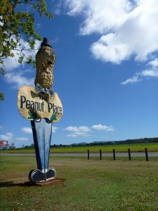 Mmmmm peanuts Queensland