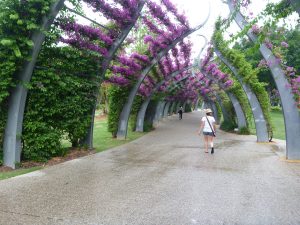 City flower walkway Brisbane