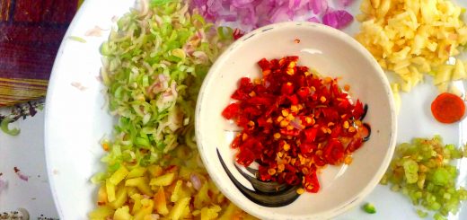 Red curry ingredients Thai cookery