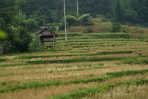 Beautiful Laos countryside
