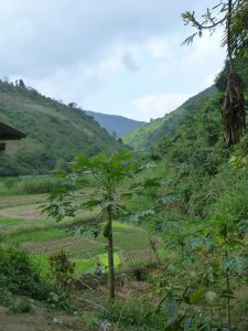 Lots of farming Laos