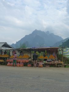 Bus stop for oranges Laos