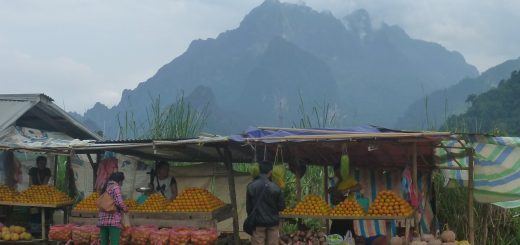 Bus stop for oranges Laos