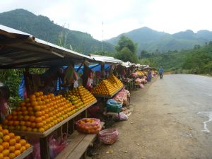 Orange farmer stall Laos