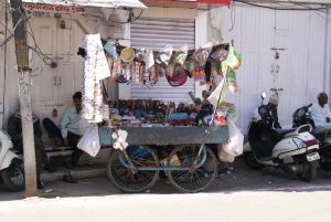 Street seller, Udaipur