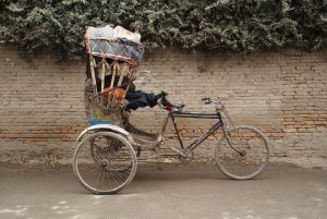 The frequently spotted snoozing cyclo driver