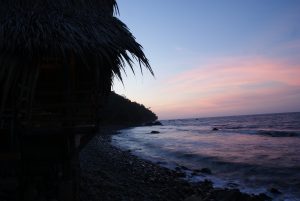 Catching a sunset in a coastal treehouse