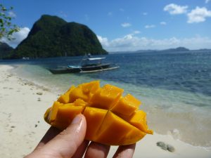 Sweetest mangoes in the world, Palawan