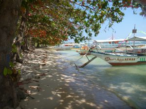 Boats back to shore :(